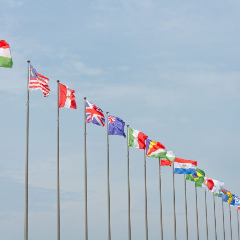 Managing Legal Compliance and Administrative Obligations for International Students in Korea